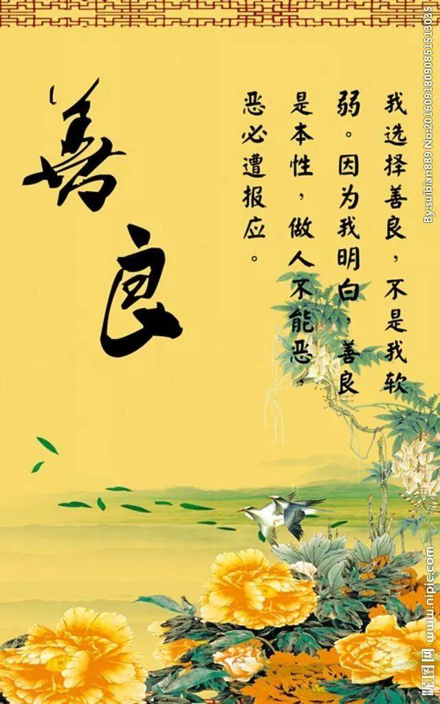 面对这4种情况请务必收起你的善良