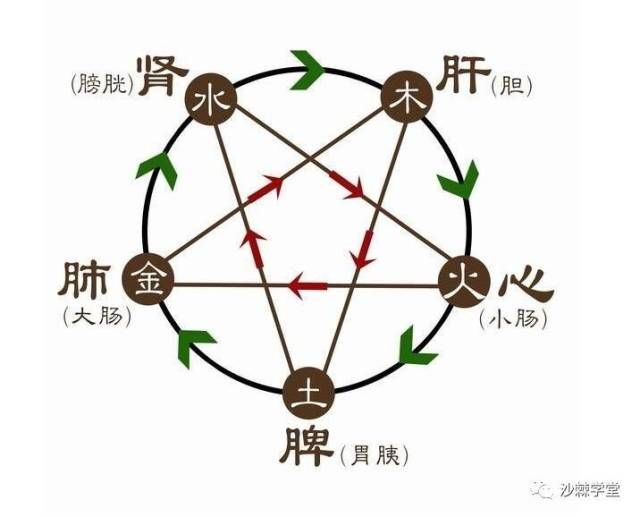 五色對五臟的滋補 《黃帝內經》中說:綠色養肝,血色補心,黃色益脾胃