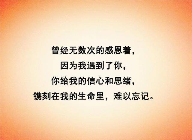 致在我生命中出现的你