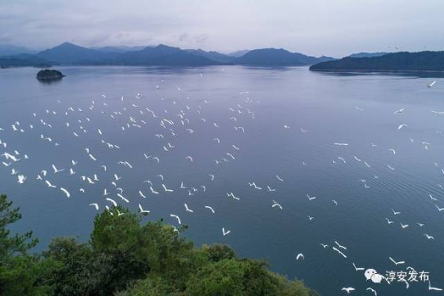 大家好!给大家介绍一下,这是我的家乡@淳安