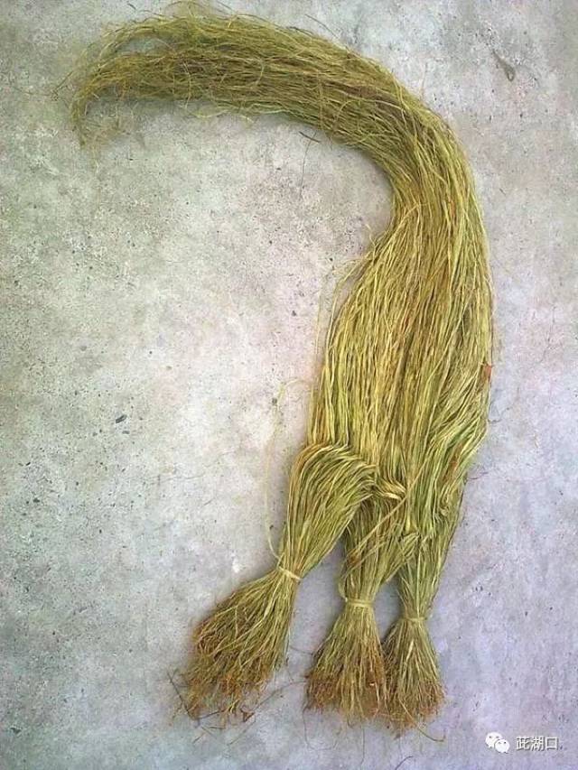 一代湖南人的记忆打麻