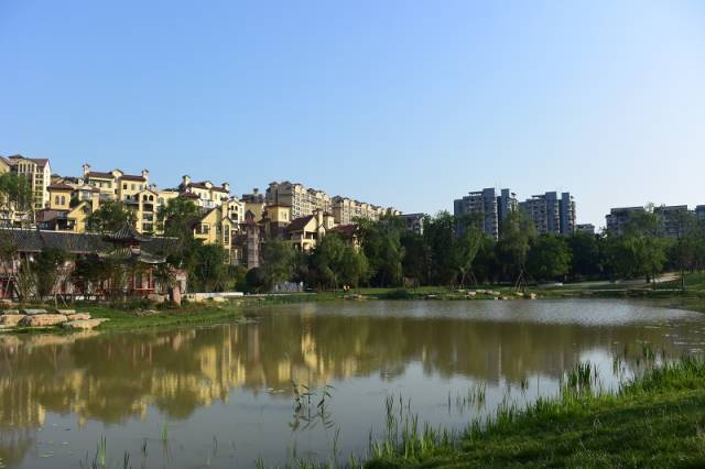 大家好,给大家介绍一下,这是国家森林城市@宜宾.全省仅10个!