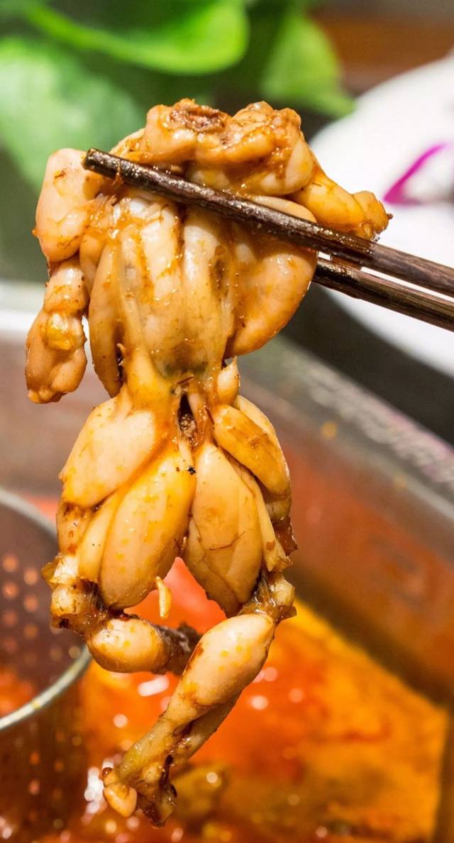 号称"最适合海宁人的火锅"来啦!鸳鸯锅 极品美蛙 6.8折!等位还能打折?