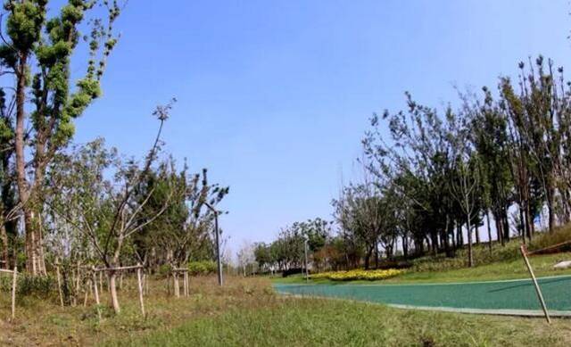 泰兴市政府关于征集2018年重大民生实事项目