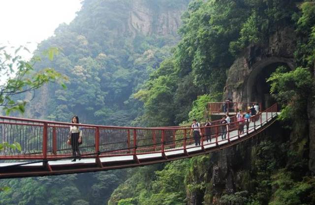 老虎的師父 閩侯旗山國家森林公園