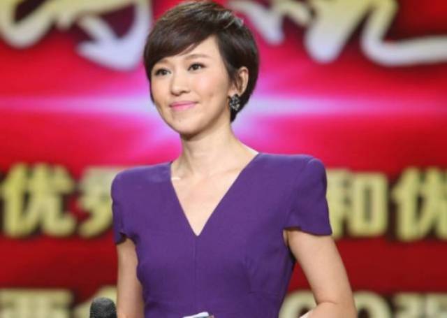 鲁健欧阳夏丹郭志坚 央视名嘴为你讲述陪伴的故事