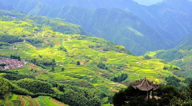 遂昌的梯田主要集中在該縣西部的南尖巖,這裡群山環繞,山民們因地制宜