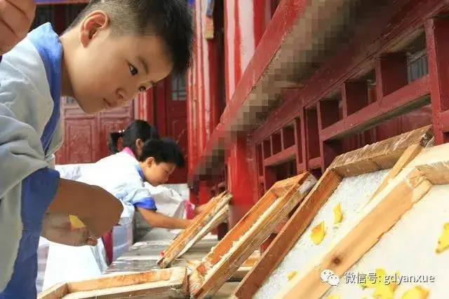 研学旅行:纸是如何造出来的?