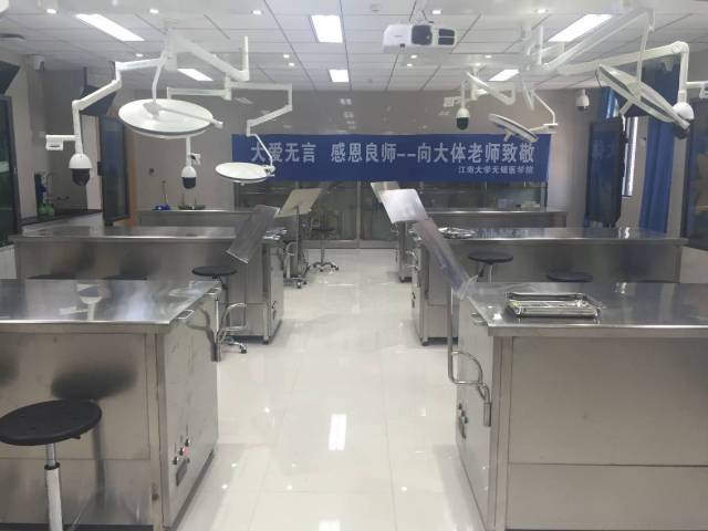 数字解剖实验室