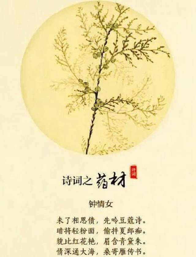这首词包含龙骨,虎骨,蒲公英,木贼,甜杏仁,合欢,红花八味药名,写出了