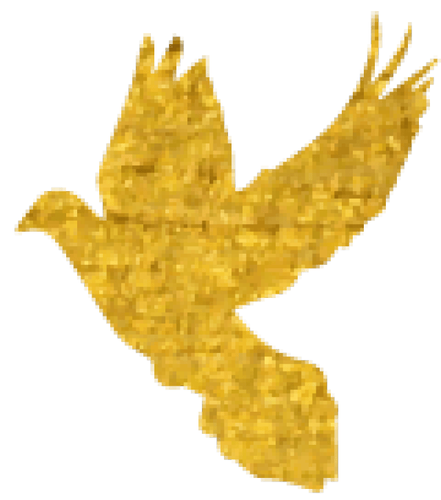 打造狼性团队 发挥亮剑精神 -水松缘精英拓展训