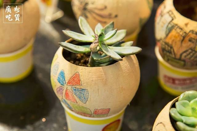 1000个椰子才有5个椰皇!跨越1700公里的泰冻椰来到大广州了!