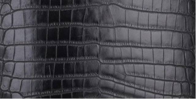 【干货】真鳄鱼皮鉴定方法