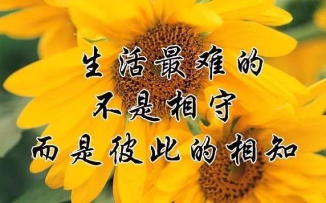 献给所有老同学,打开看看,祝所有老同学生活愉快.幸福!