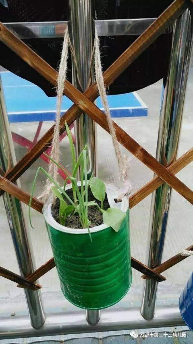 创意多变的种植园