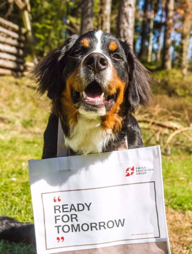 到塞班岛当vip游艇管家是什么体验? 平台声明