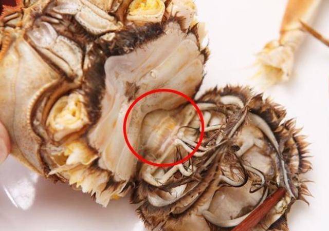 蟹胃不能吃:如图.