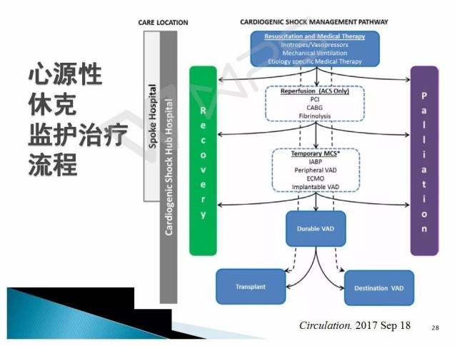 图2 心源性休克监护治疗流程