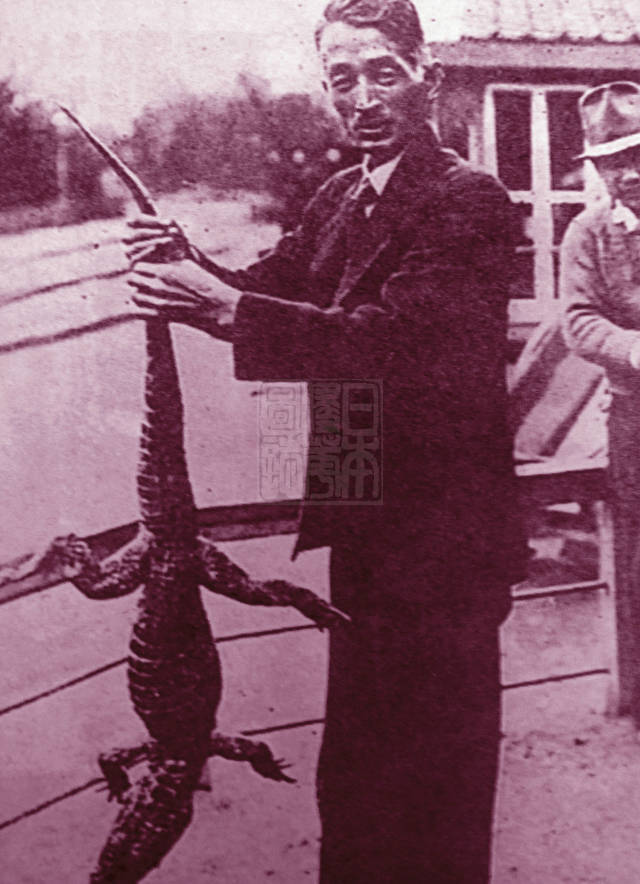 以上图文选自《日本侵华图志》第二十一卷《经济侵略与资源掠夺》