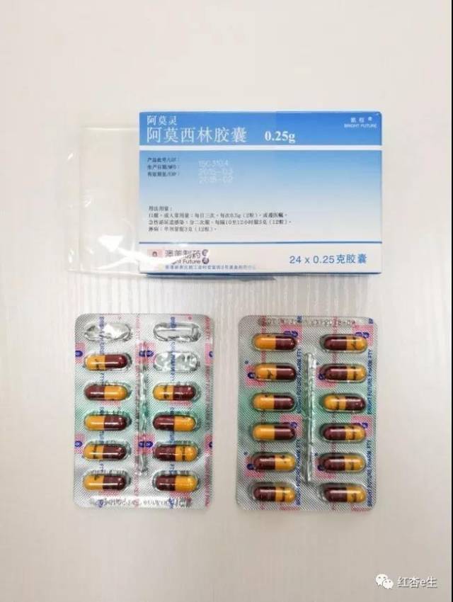 史上最全阿莫西林测评对比!