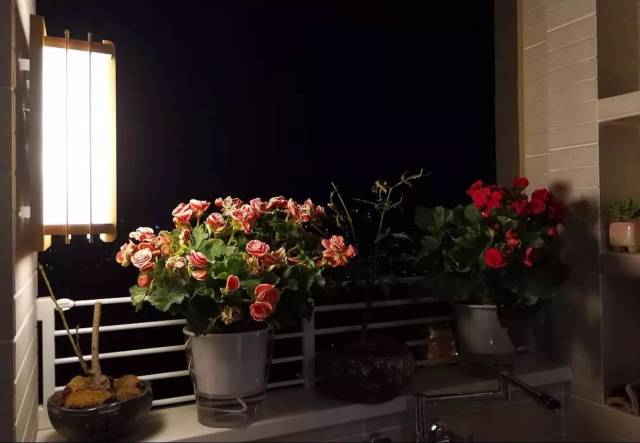 一个吊灯,一个壁灯～夜晚的阳台就靠灯光营造的都很美,洗个衣服都