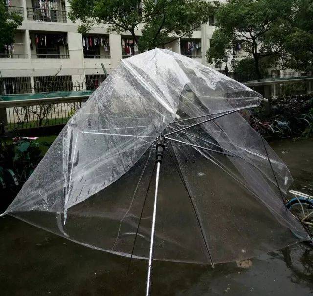 经历了奉贤妖风后的我