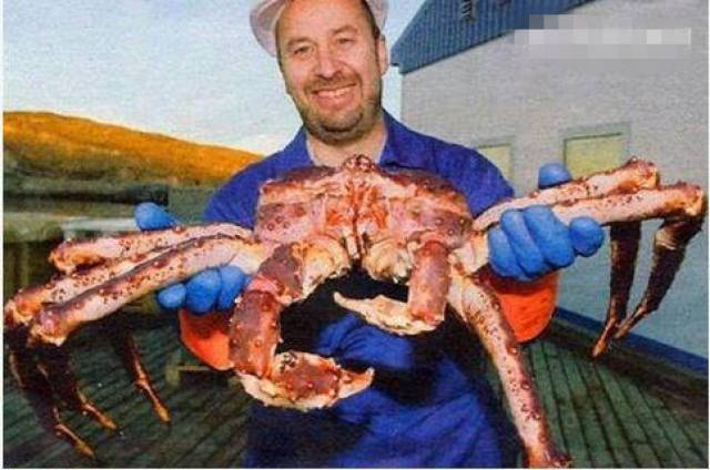 世界上最赚钱也是最危险的工作 一年只工作5天