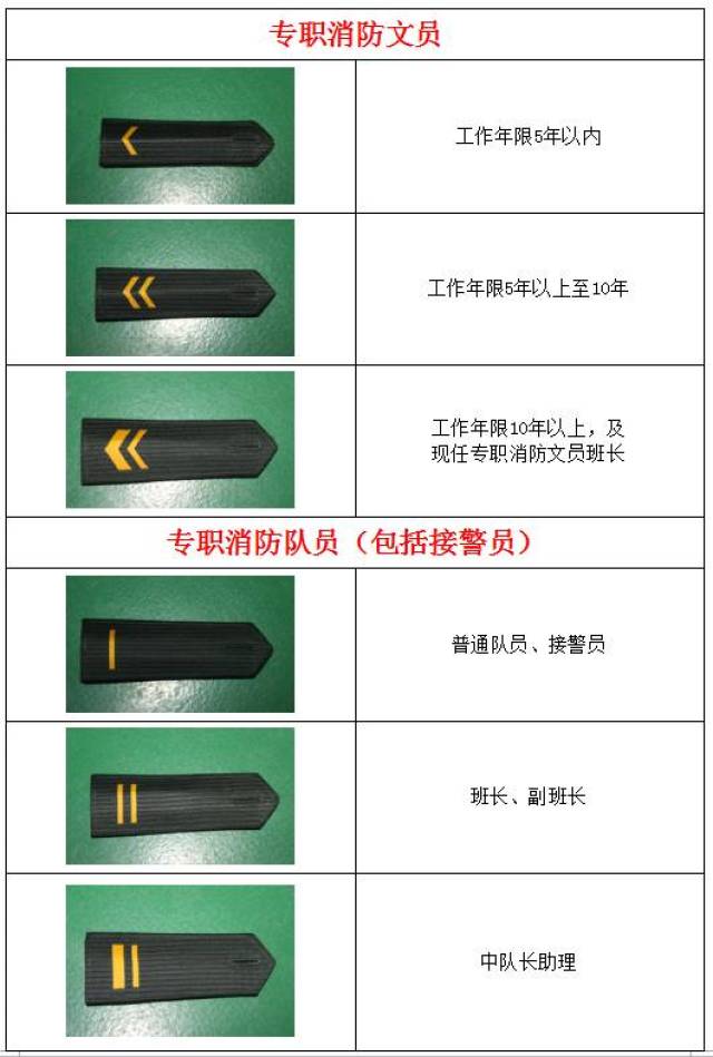 专职消防员也有"衔级制"啦!