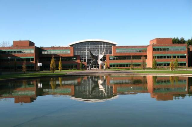 我是不是太贪心了?学习,好工作,移民,我都想要