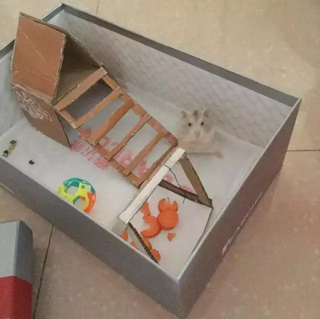 纸折翻本小仓鼠的家图片