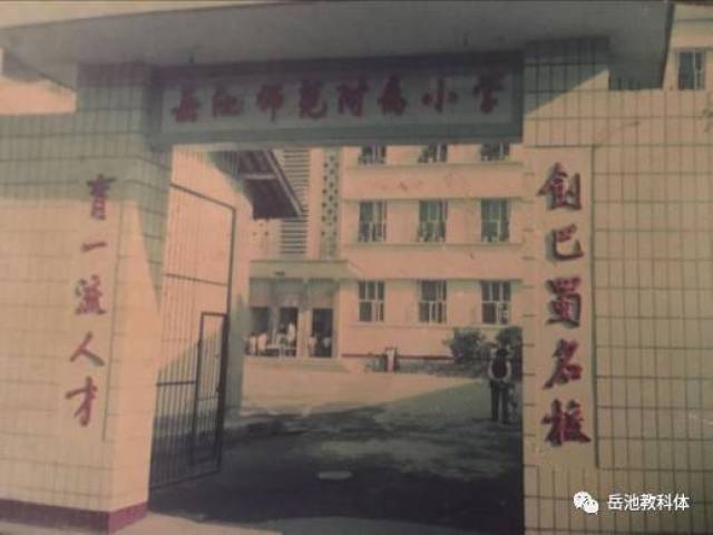 岳池招聘网：您身边的职场指南