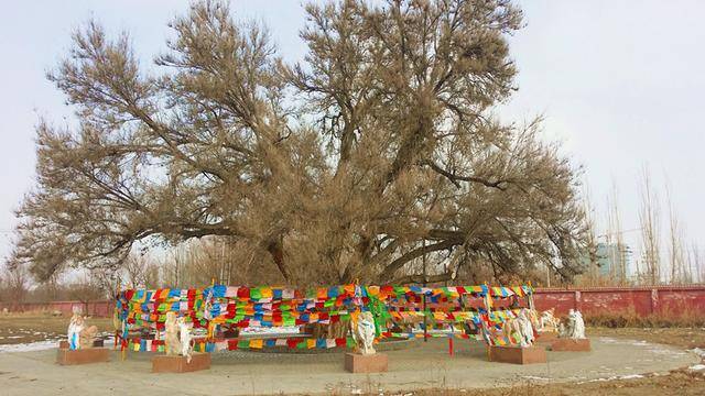 新疆蒙古和硕特部落的宝浪苏木* 喇嘛庙_手机搜狐网