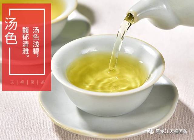 2017品質秋茶發佈會——秋茗賞鐵觀音