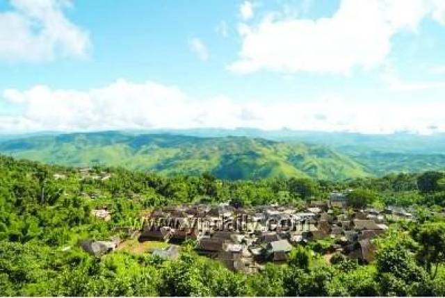 勐板乡忙肺村坐落于彩云之南,波涛汹涌的怒江山麓,这里古树参天,终年