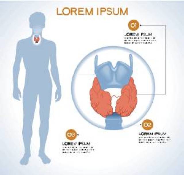甲亢治愈率只有5%?那是你没认真治_手机搜狐网