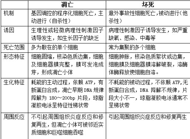 b8a650bf346c42d7b33337336ba08ad4.jpg