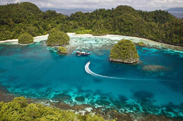 海成湖探秘说大型培养皿里的潜游可能更合适