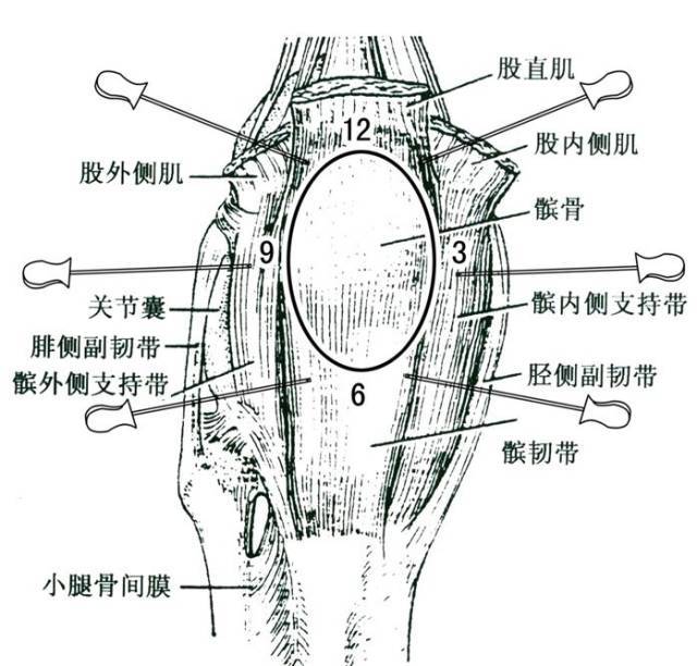 压痛点处定点