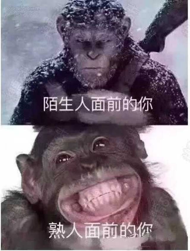 陌生人表情包图片