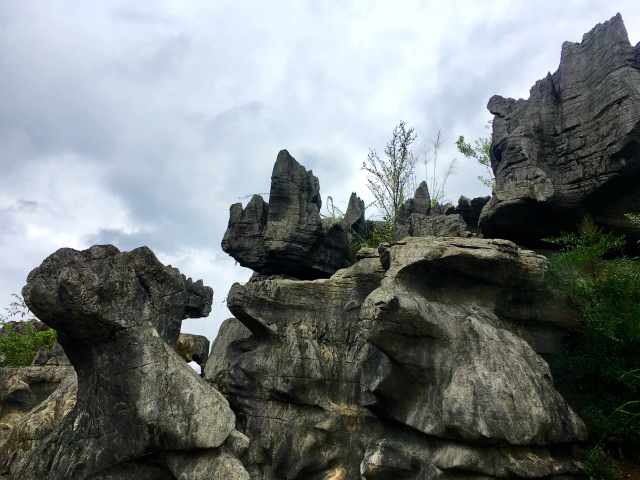 走读彭水(六):鞍子镇的苗寨,石林和农家土菜