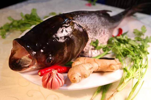 清燉獅子頭,水庫魚頭泡餅等菜餚 深受食客們的好評 團隊成為密雲水庫