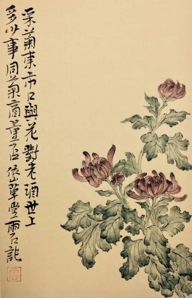 江南收藏61书画艺术秋菊有佳色雨石写菊