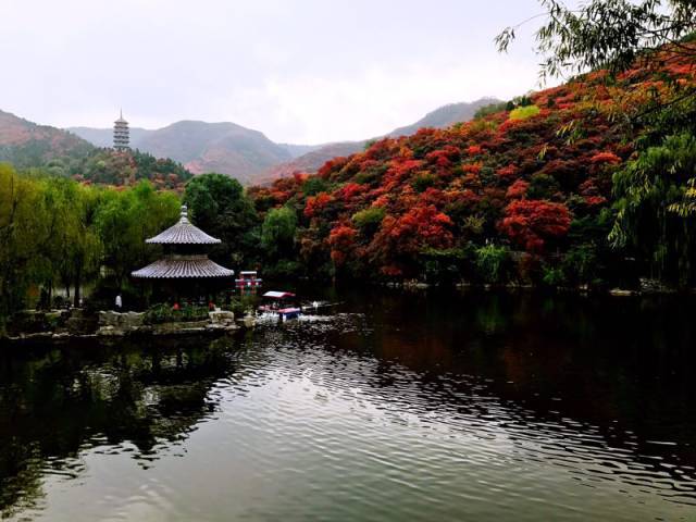 周末济南去哪玩,济南适合周末玩的地方,济南周末去哪玩比较好_大山谷图库