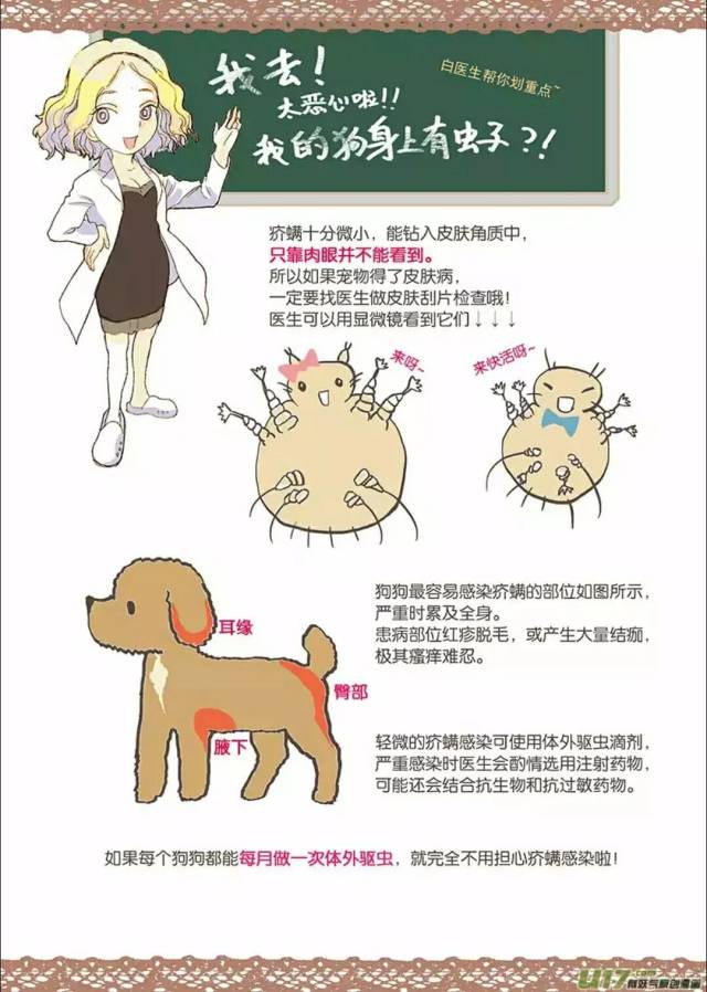 猫为什么跳楼?狗为什么摇尾巴?