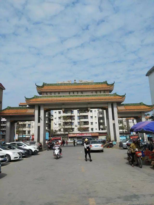 为加快推进九龙镇城市更新及土地收储工作,10月13日下午,黄埔区副区长