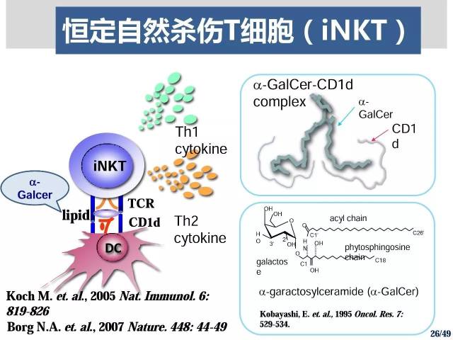 [研究]肿瘤细胞来源外泌体联合糖脂质致敏树突状细胞