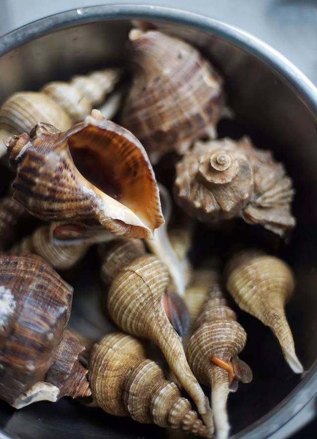 趁着蟹肥螺肉壮, 一锅盐焗了!