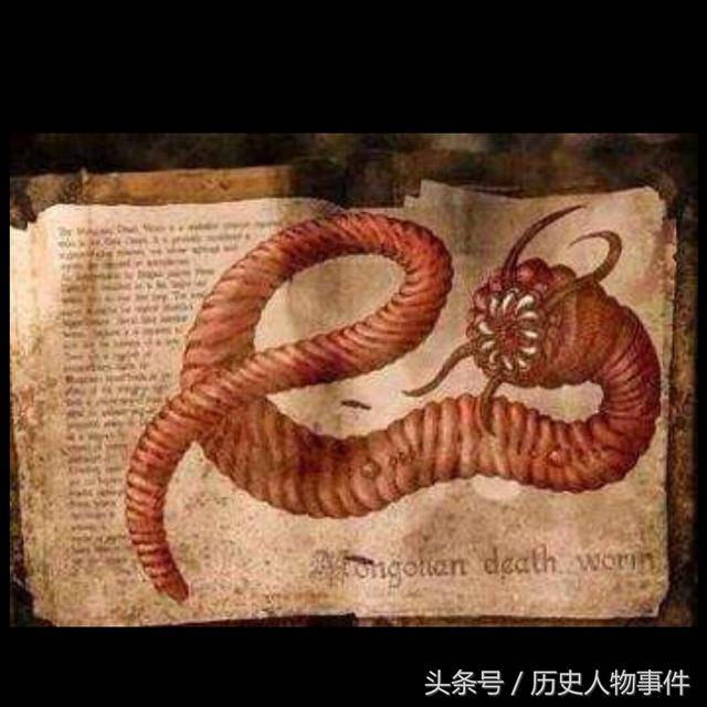 出一股强电流,让数米之外的人或动物顷刻毙命,然后,将猎物慢慢地吞噬