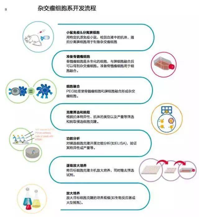 细胞系供应市场最新趋势