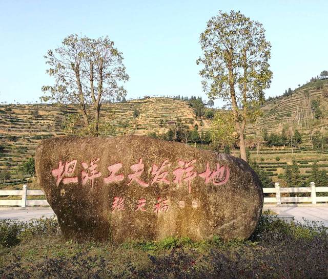 坦洋工夫發祥地寧德福安坦洋村 閩南茶區.